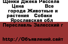 Щенки Джека Рассела › Цена ­ 10 000 - Все города Животные и растения » Собаки   . Ярославская обл.,Переславль-Залесский г.